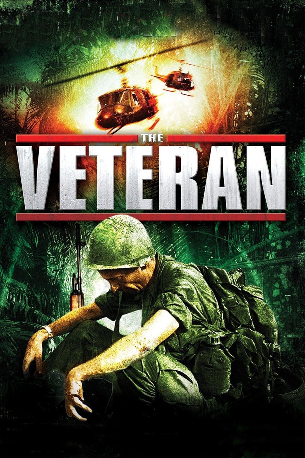 Постер The Veteran